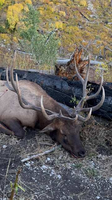 Amendments to the Utah Elk Management Plan