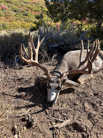 Utah Mule Deer Management Plan Changes