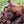 Brown camo