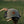 Nebo Backcountry Green
