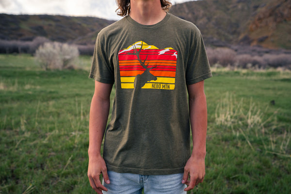 Big Horn Horizon