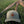 Nebo Backcountry Green