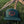 Nebo Classic Forest Green